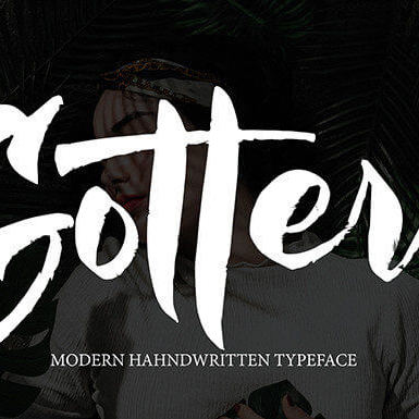gottera brushed and trendy handwritten font cover image.