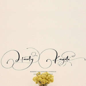 hanty kagote beautiful and stylish font cover image.