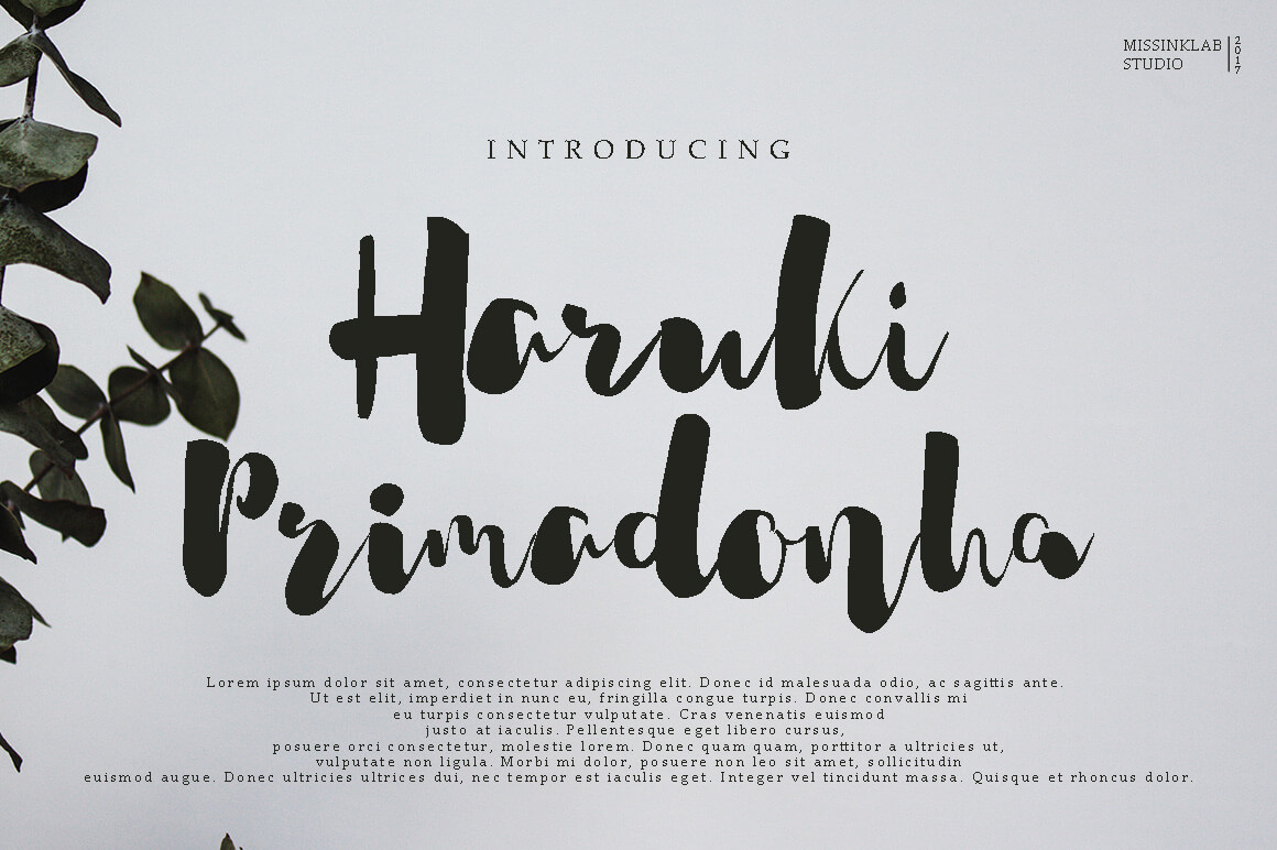 haruki primadonha stylish handwritten script font.