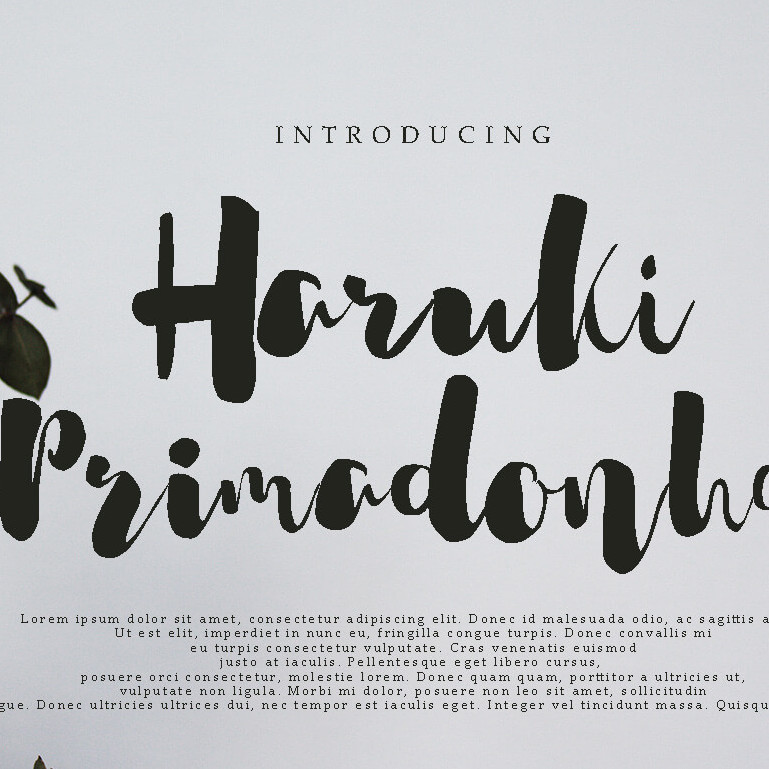 haruki primadonha stylish handwritten script font cover image.