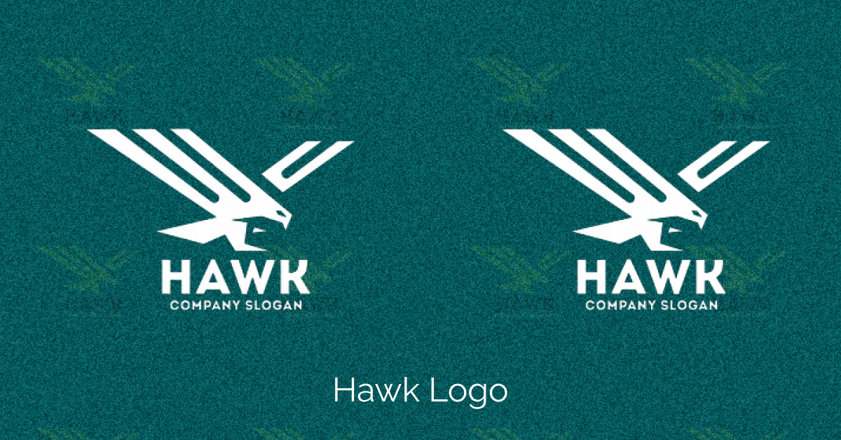 Prewiev hawk logo.