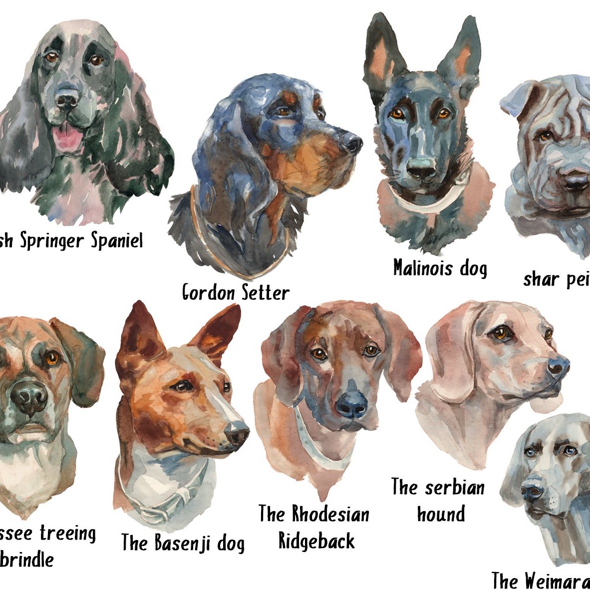 Hunter Dogs Watercolor preview image.