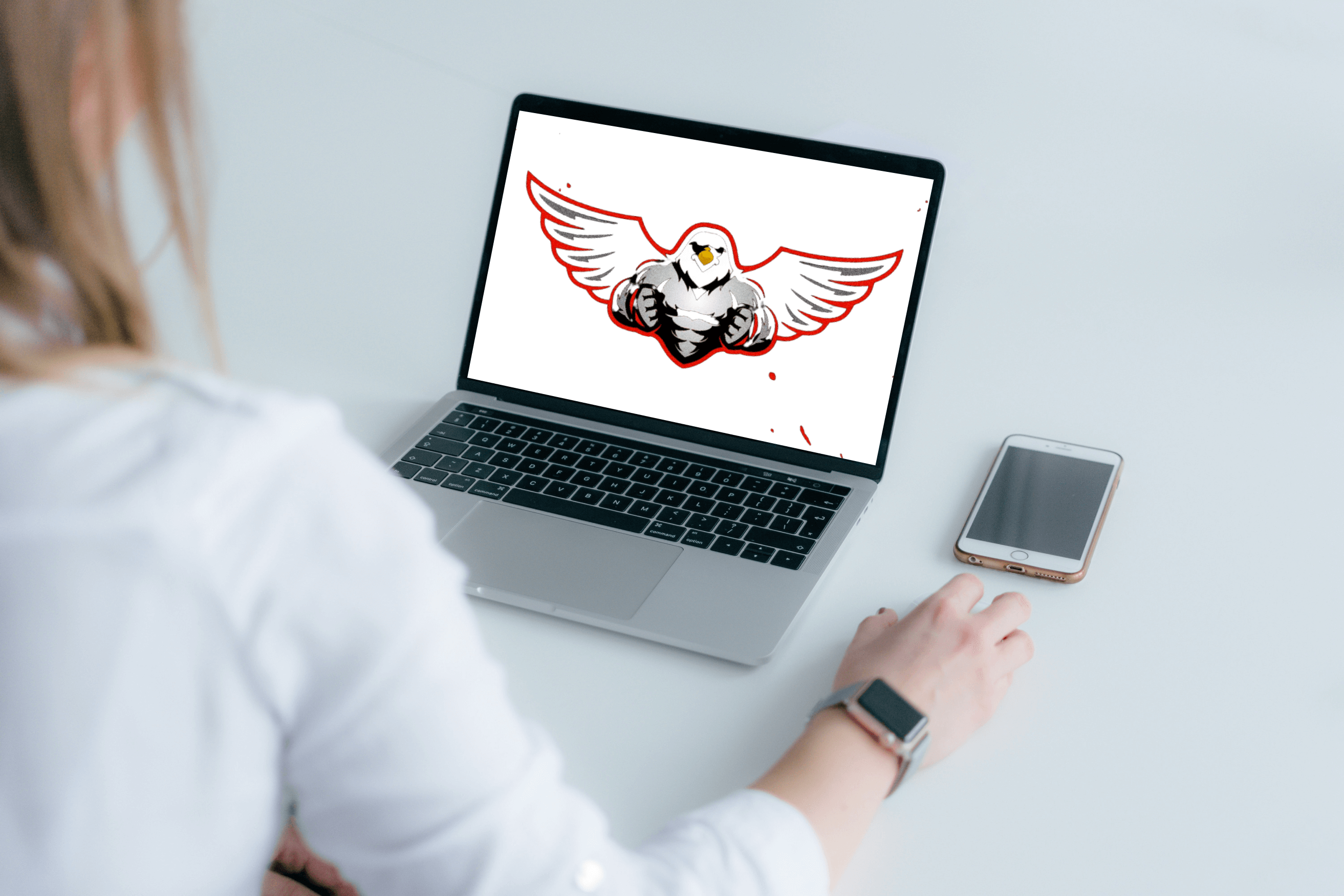 Wing hawk concept design on laptop.