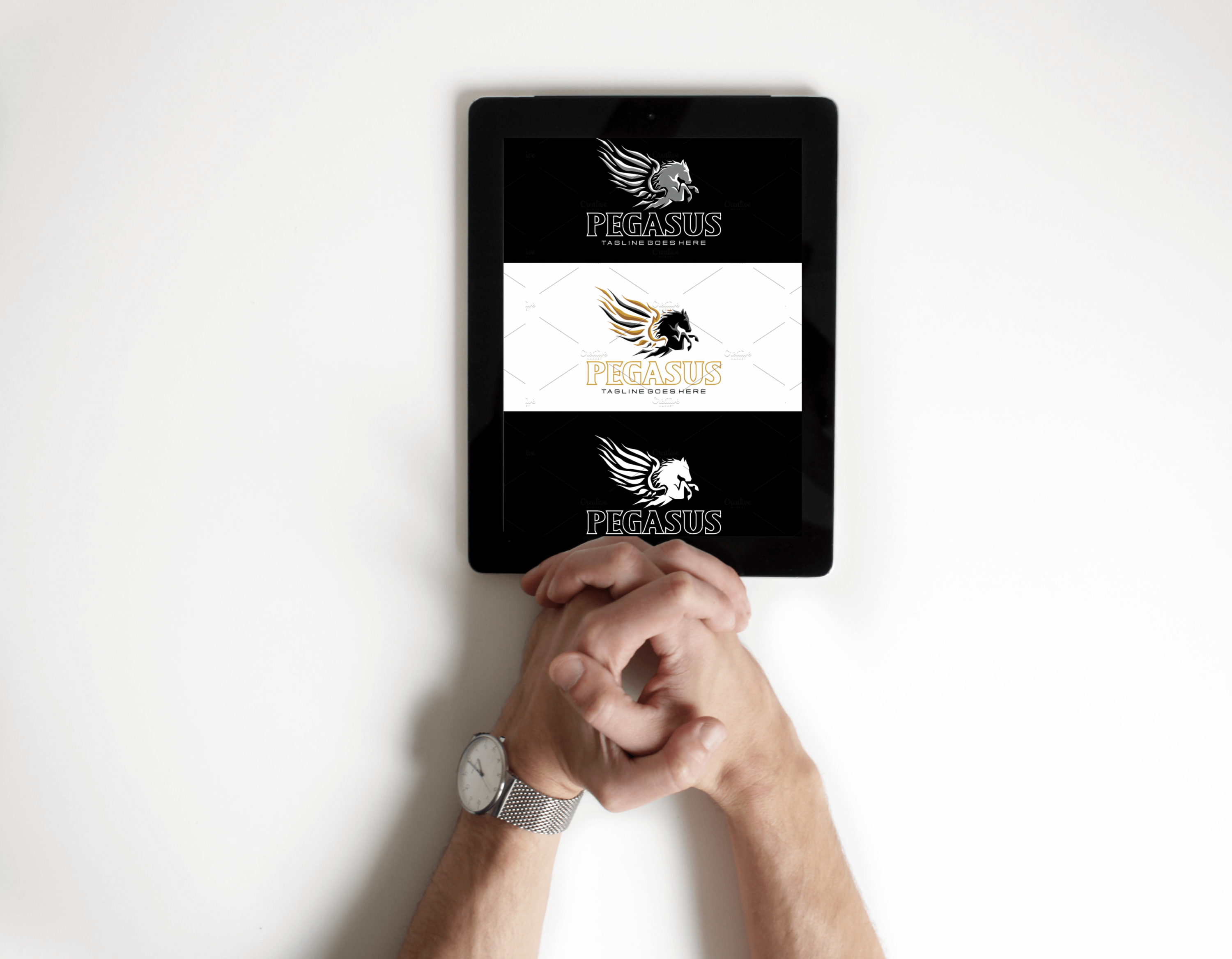 Pegasus concept design on tablet.
