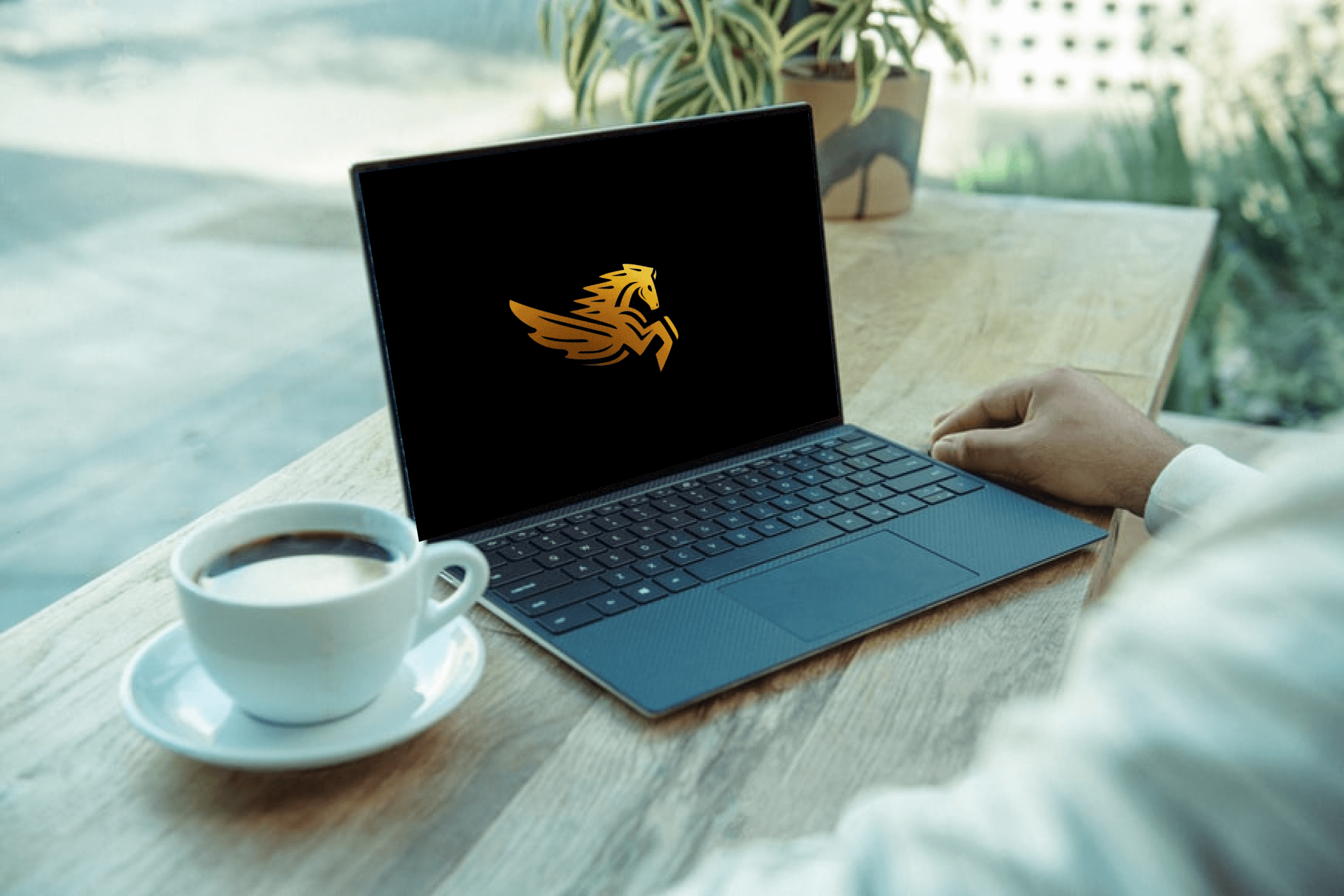 Pegasus concept design on laptop.