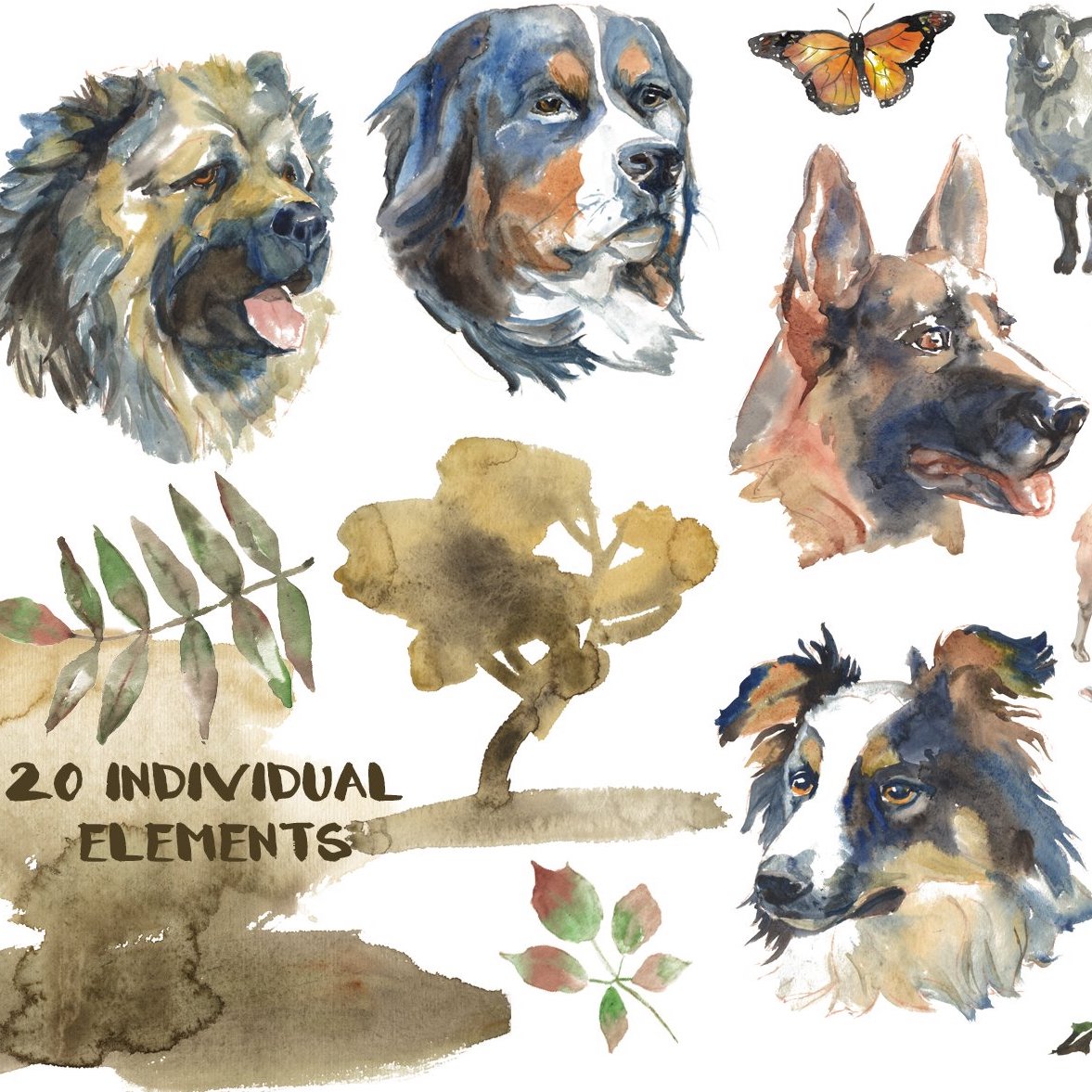 shepherd dogs watercolor set1