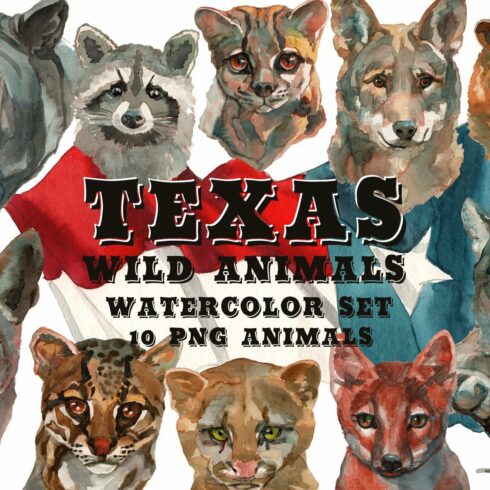 texas wild animals watercolor set