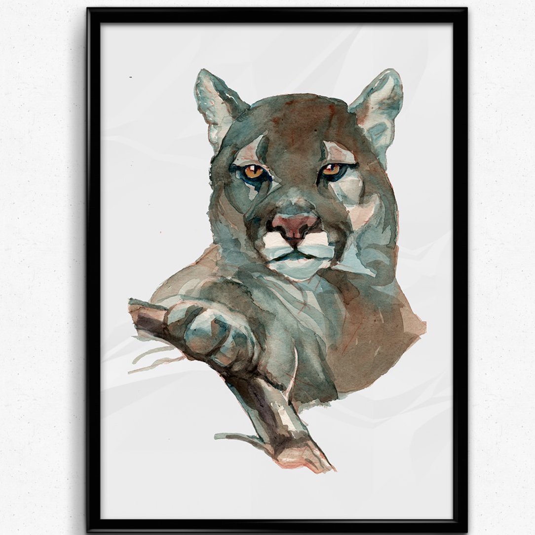 texas wild animals watercolor set1