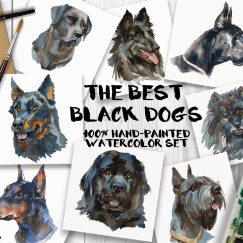 the best black dogs watercolor set