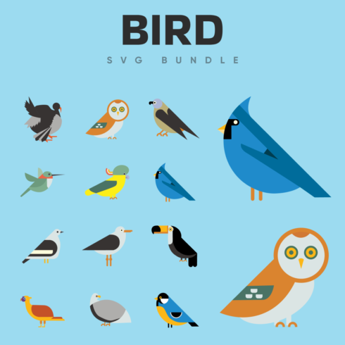 Bird SVG bundle.