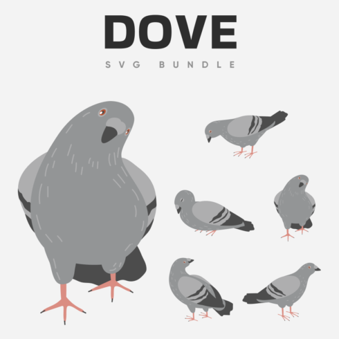 True dove SVG bundle.