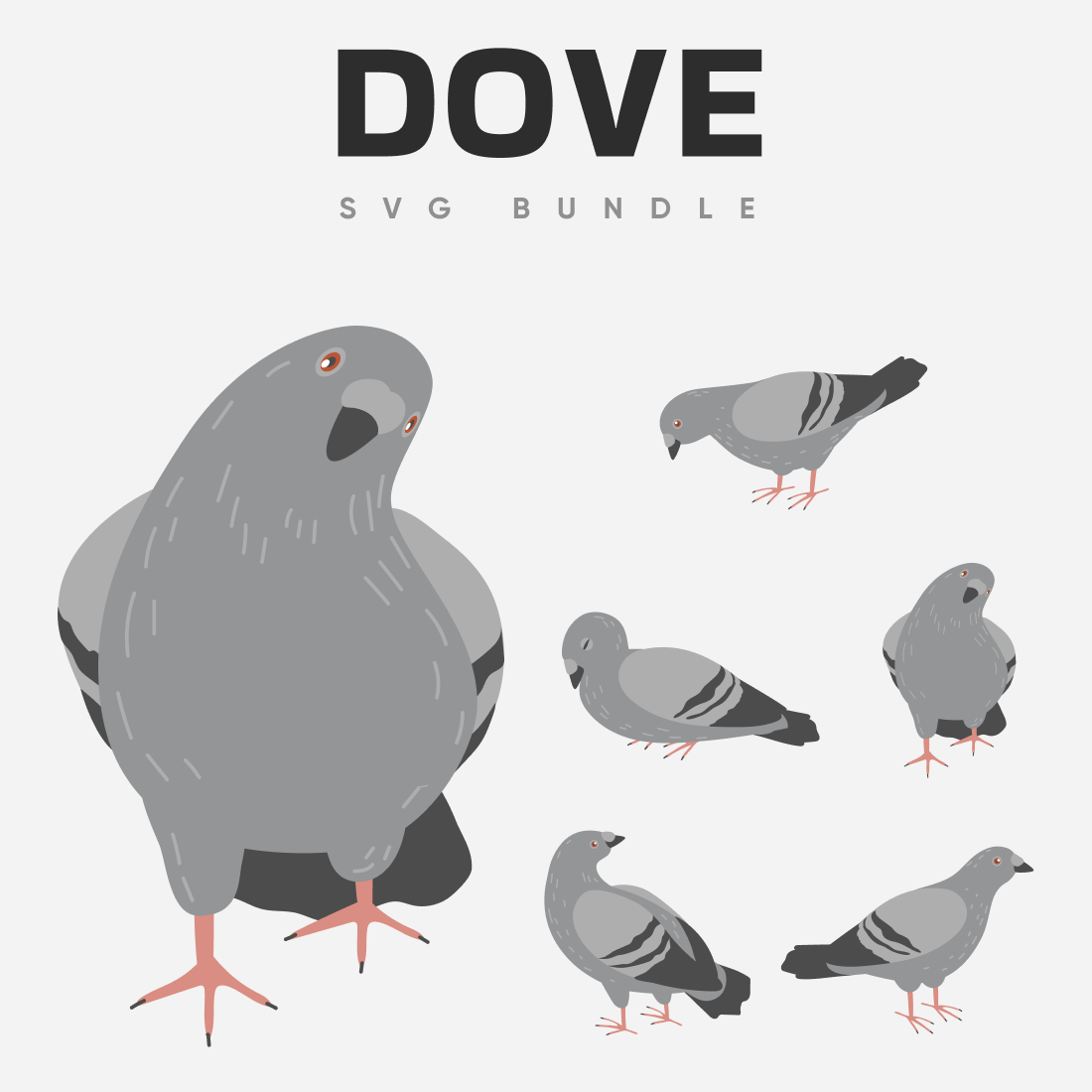 True dove SVG bundle.