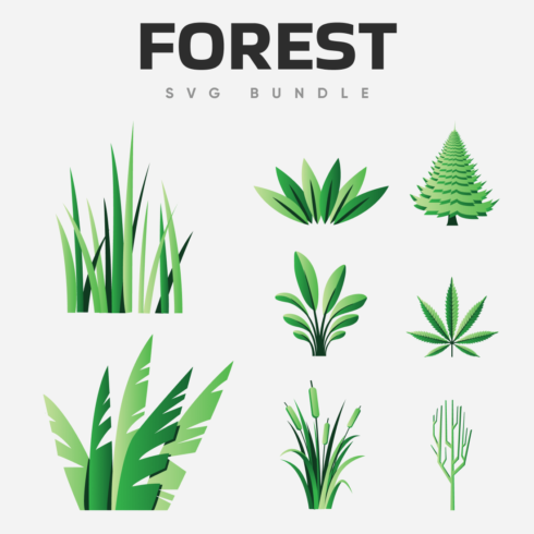 Geometric representation of forest vegetation.