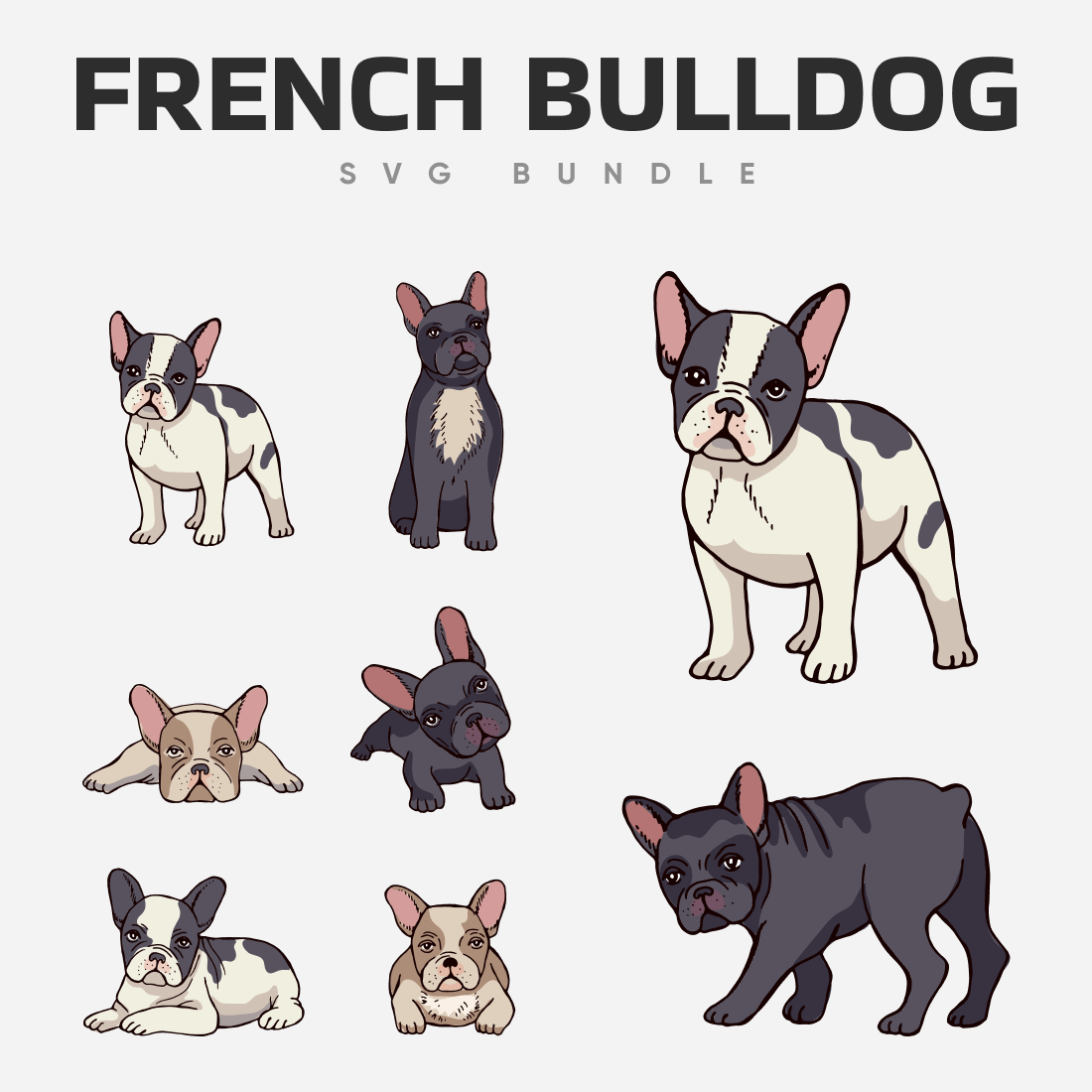French bulldogs with different colors and cute faces.