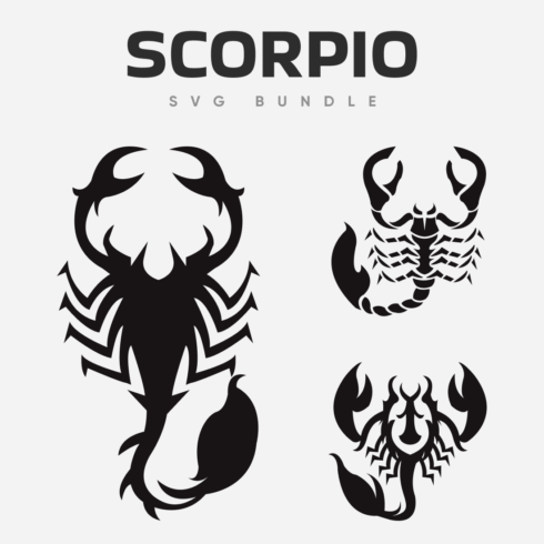 Scorpion tattoo design on a white background.