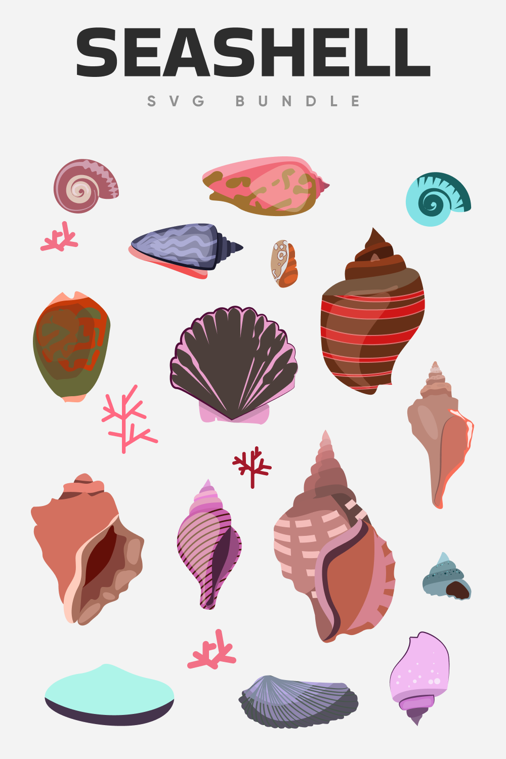 Seashell SVG bundle.