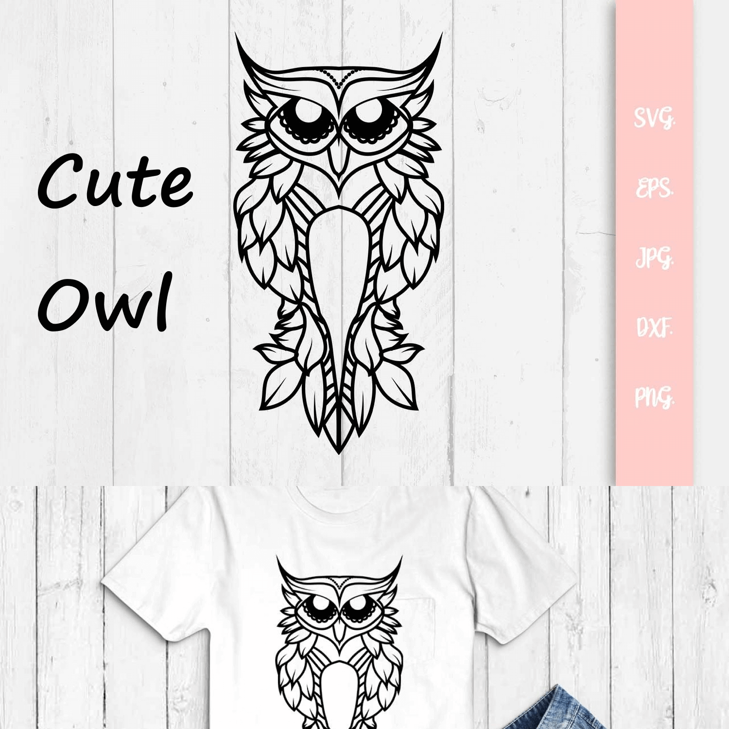Cute Owl on the White Background.