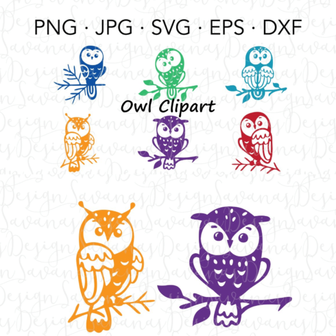 Colorful Owl Clipart.