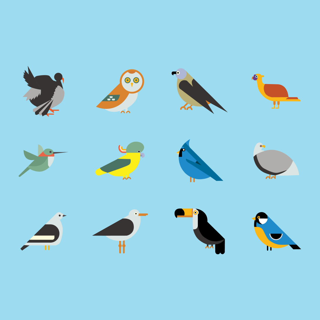 Bird SVG bundle.