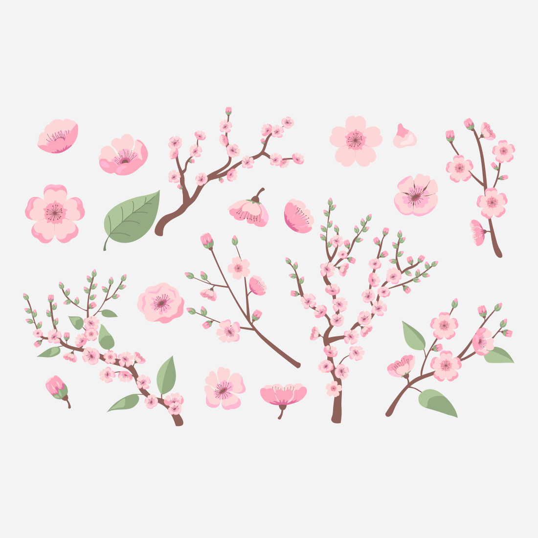 Cherry blossom SVG bundle.
