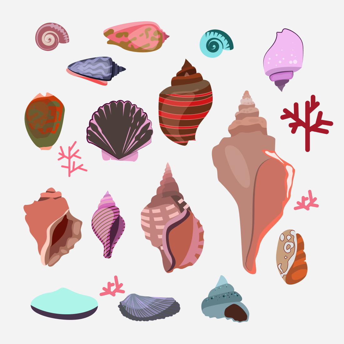 Seashell SVG bundle.