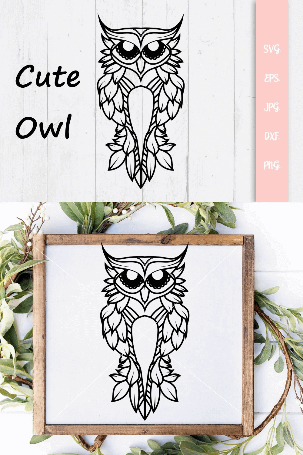 Two Cute Owls on the Different Background.