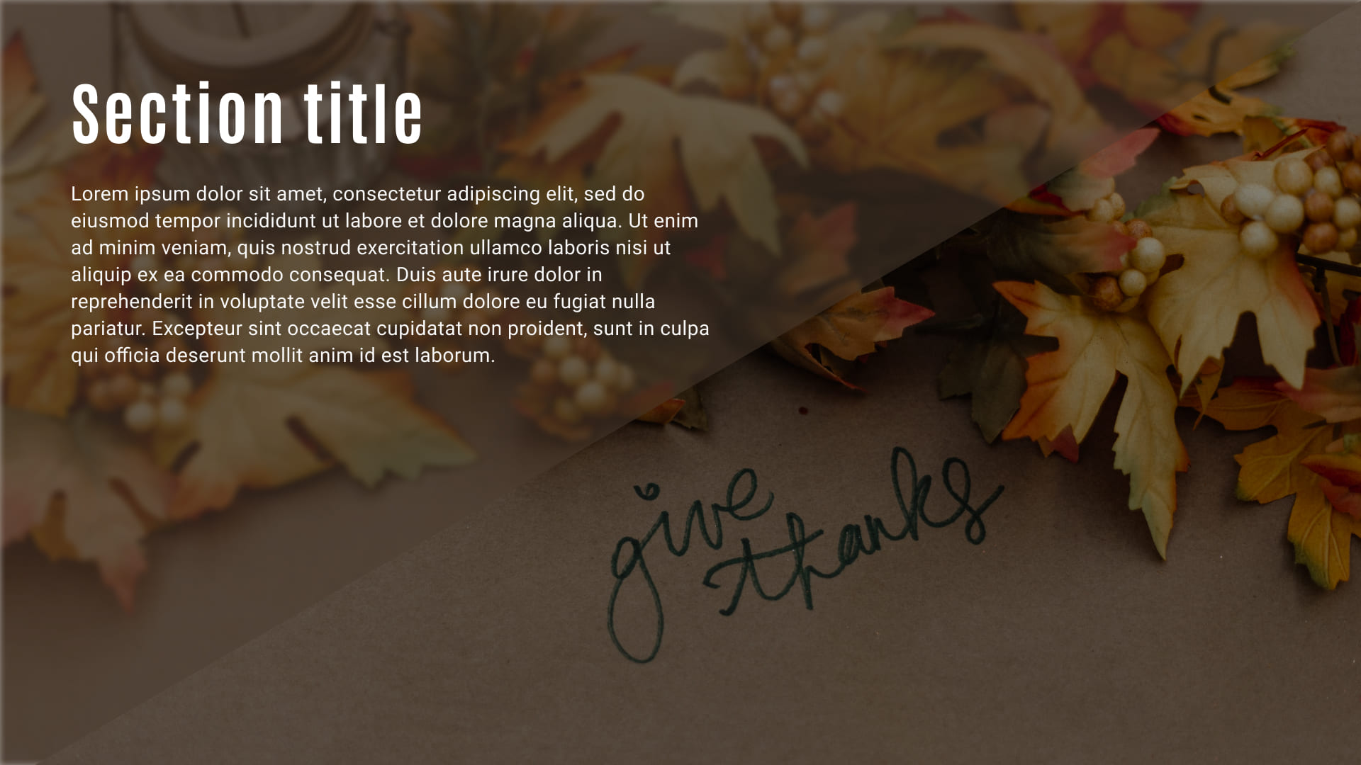 2 Preview Free Thanksgiving Background Images for Powerpoint.