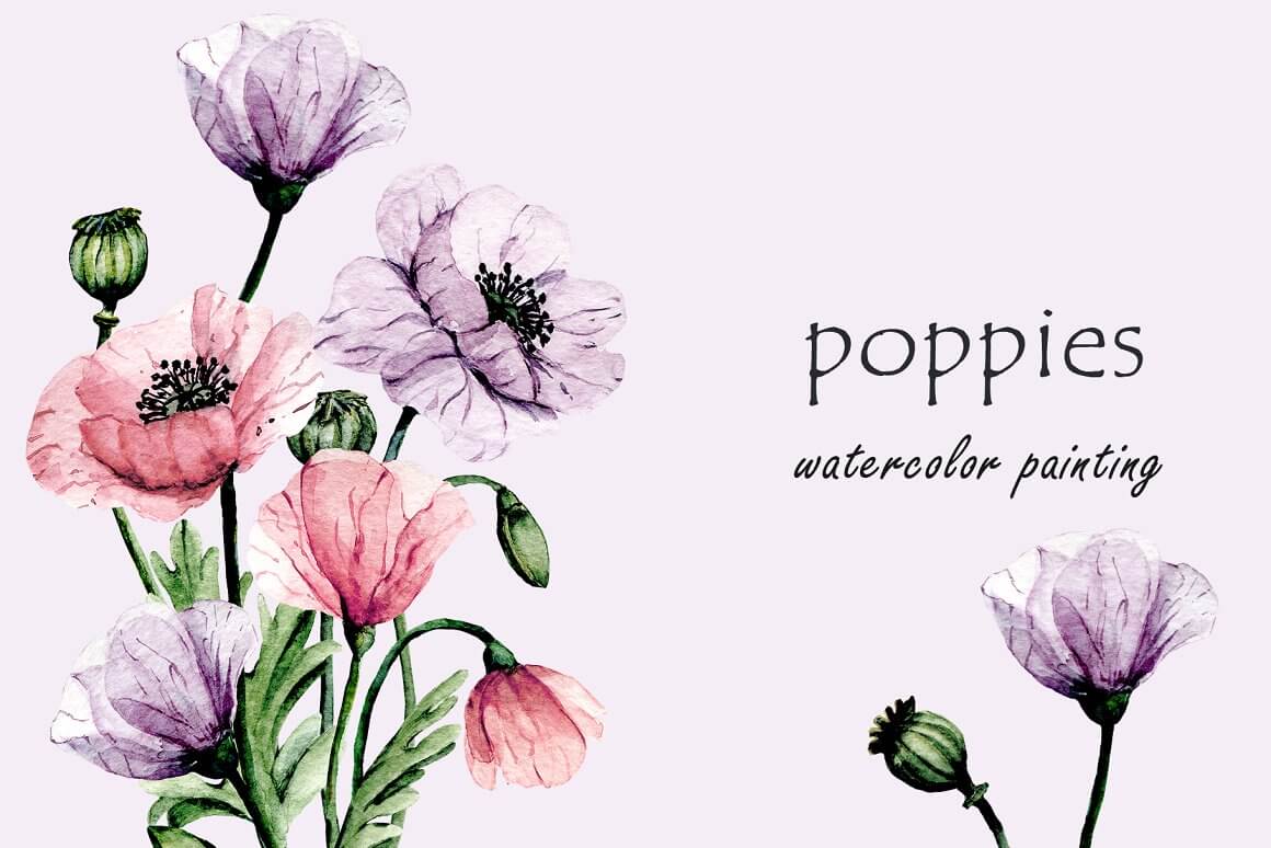 Poppies Watrercolor Painting.