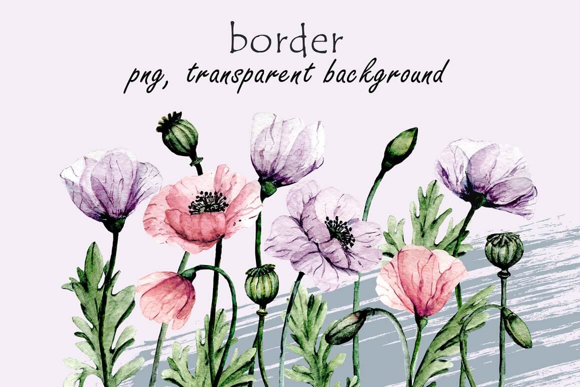 Border PNG, Transparent Background.