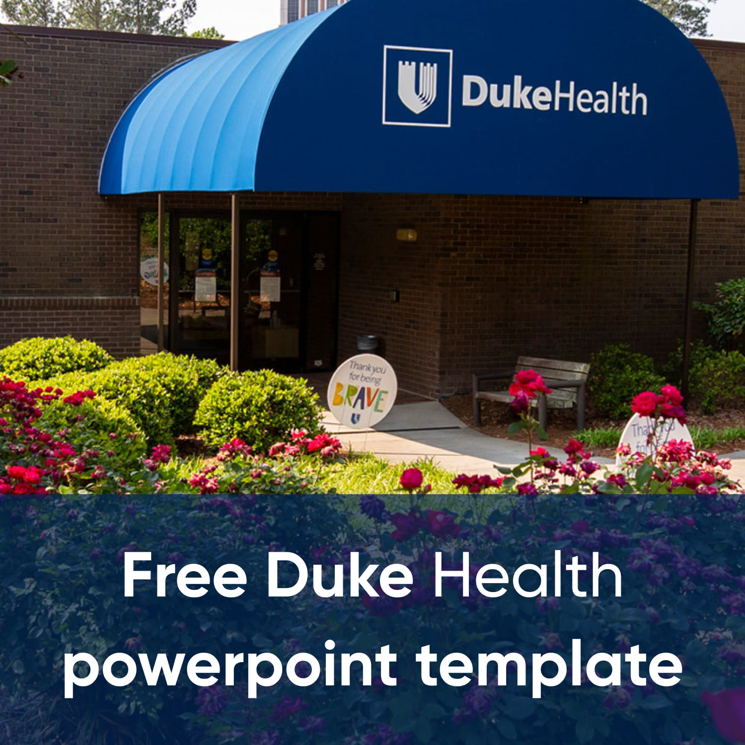 images with Duke Health Powerpoint Template.