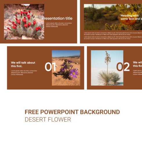 Preview Free Powerpoint Background Desert Flower 1500 1.