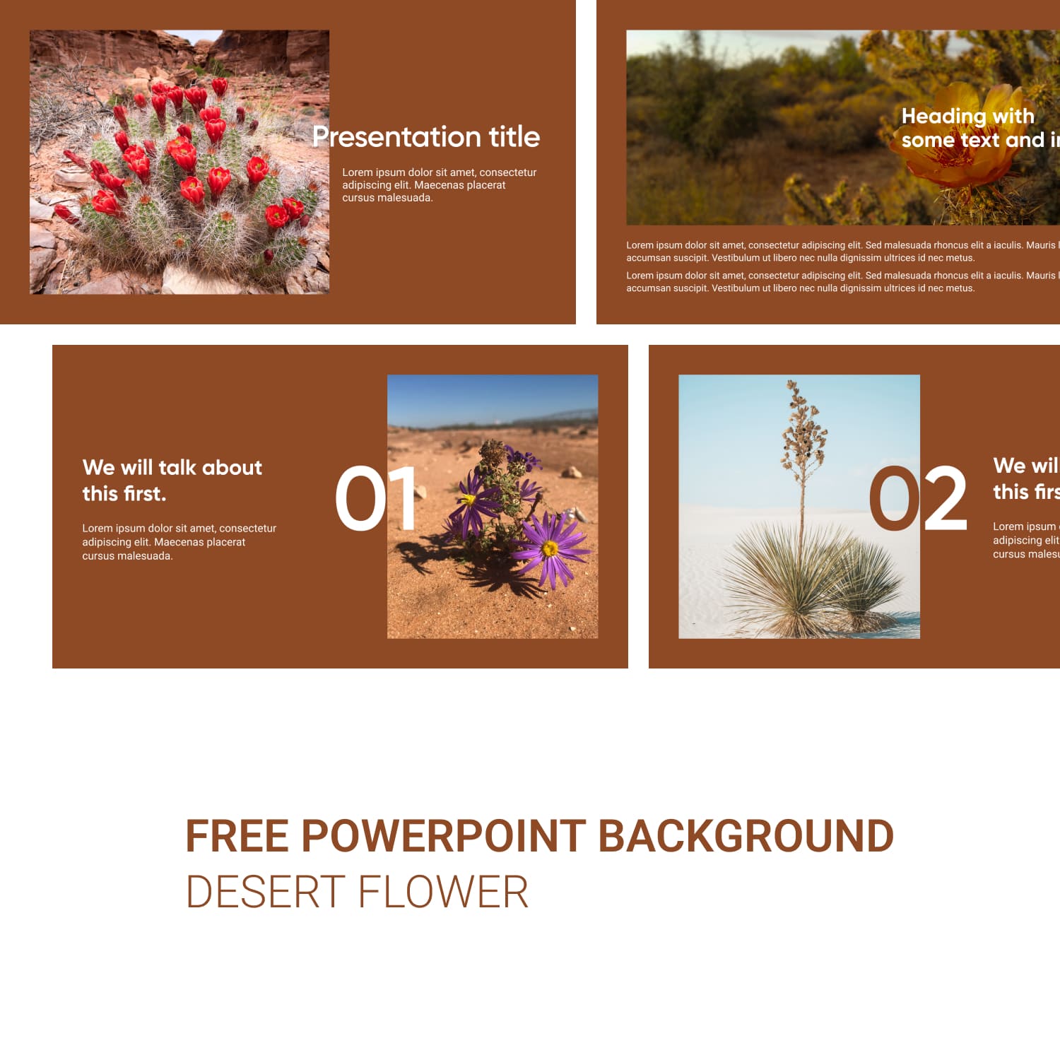 Preview Free Powerpoint Background Desert Flower 1500 1.