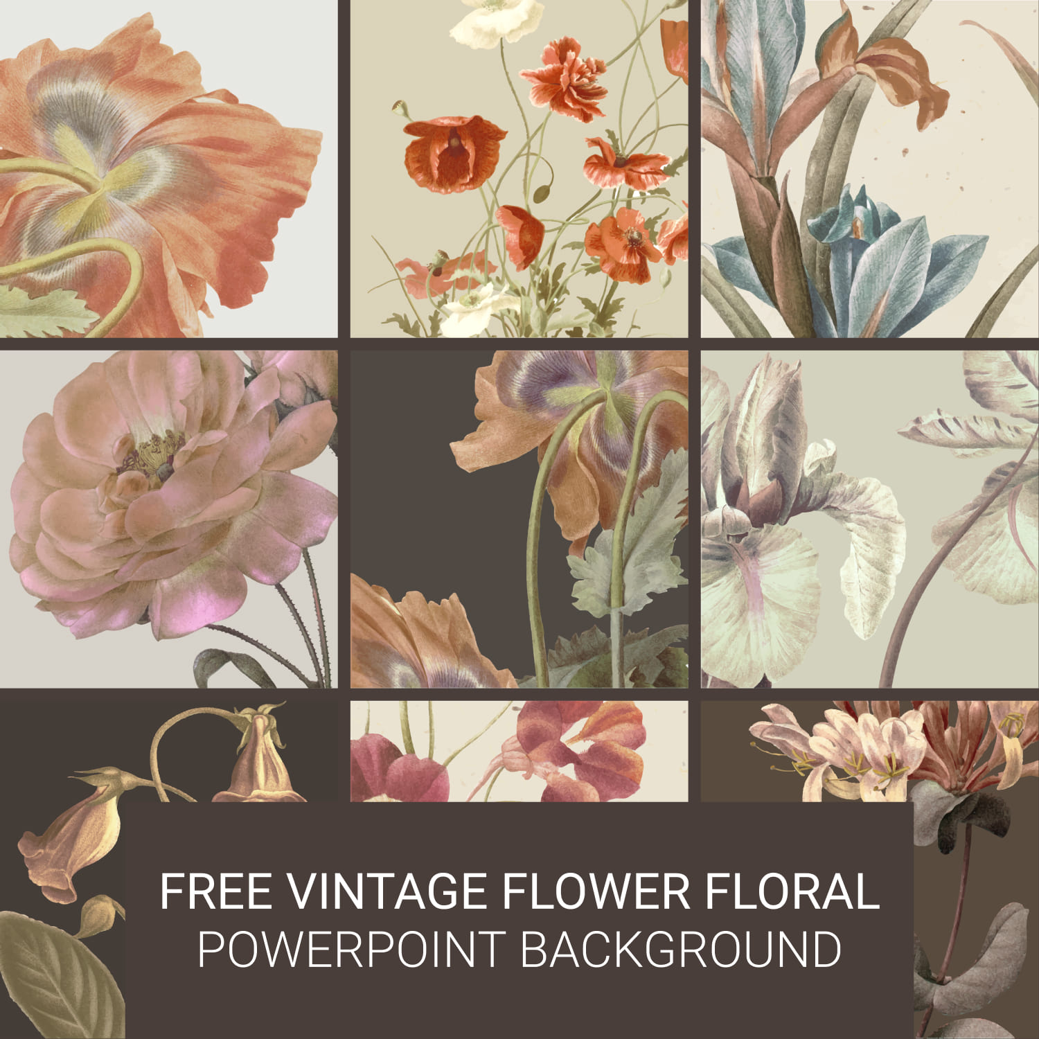 Preview Free Vintage Flower Floral Powerpoint Background 1500x1500 2.