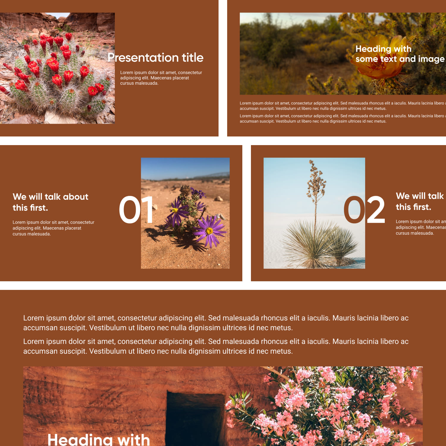 Preview Free Powerpoint Background Desert Flower 1500 2.