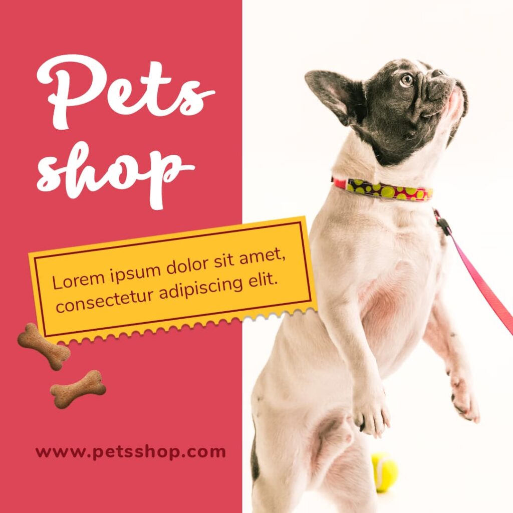 10 Dog Instagram Colorful Post Templates MasterBundles