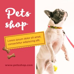 10 Dog Instagram Colorful Post Templates – MasterBundles