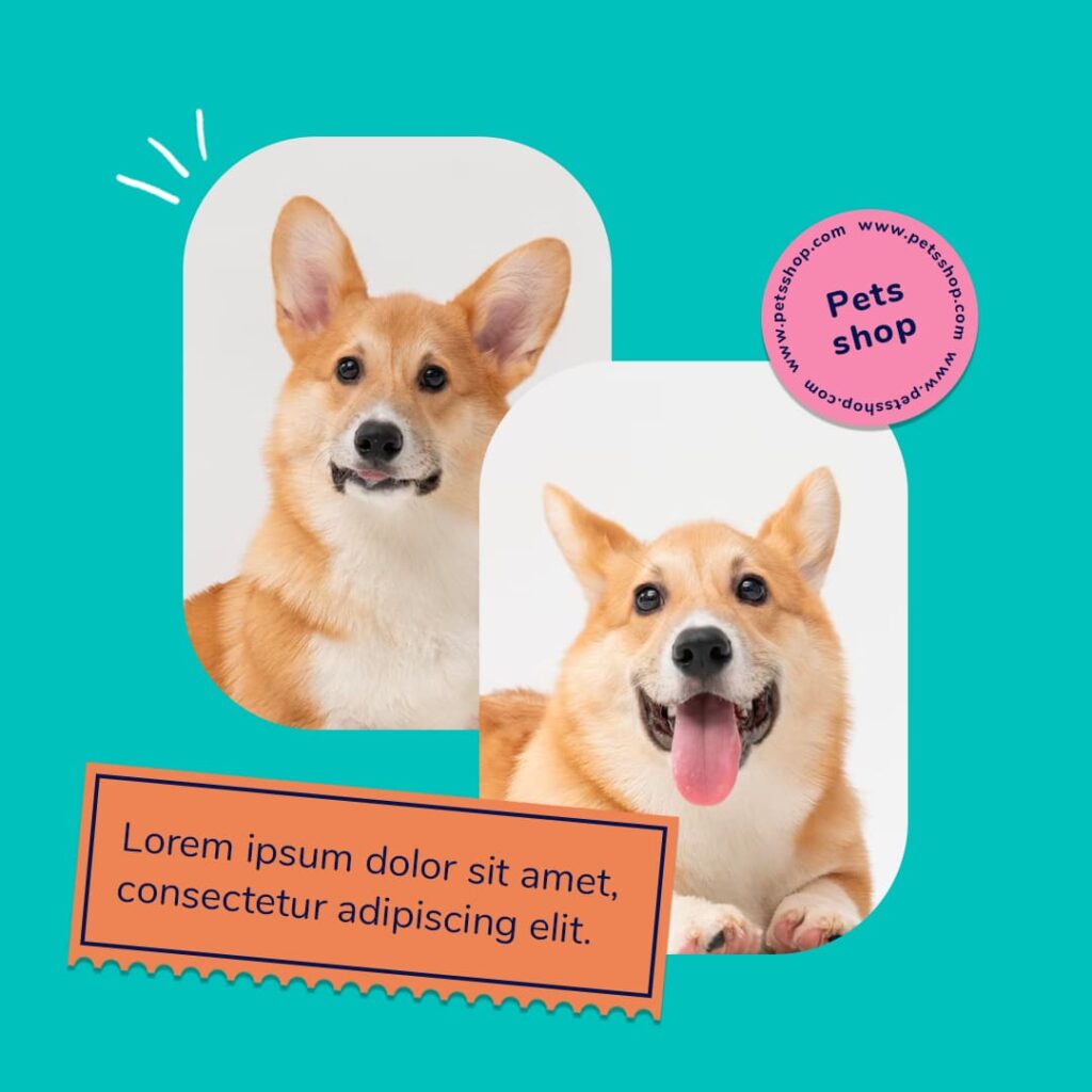10 Dog Instagram Colorful Post Templates – MasterBundles