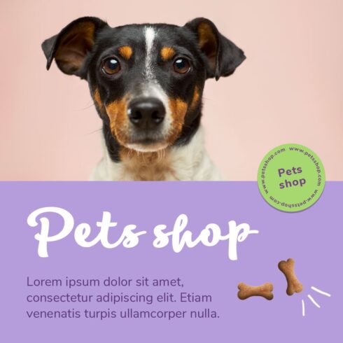 10 Dog Instagram Colorful Post Templates – MasterBundles