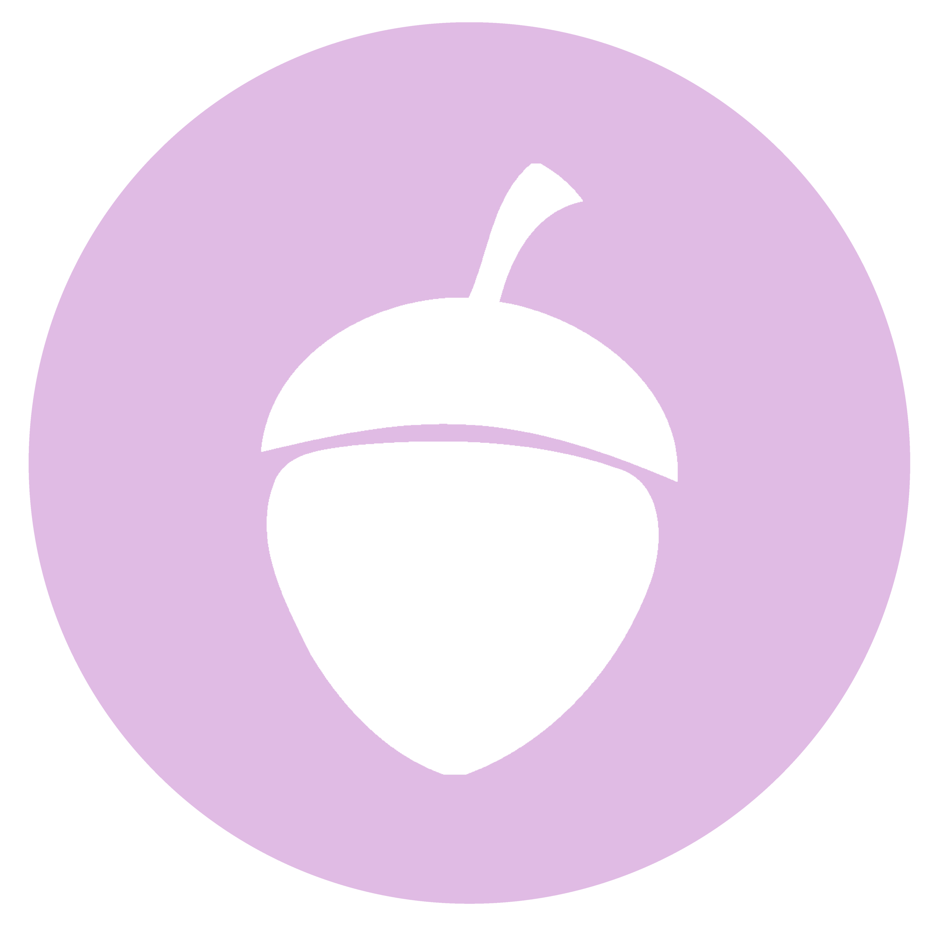 acorn icon.