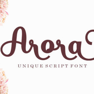 arora lovely charming script font cover image.