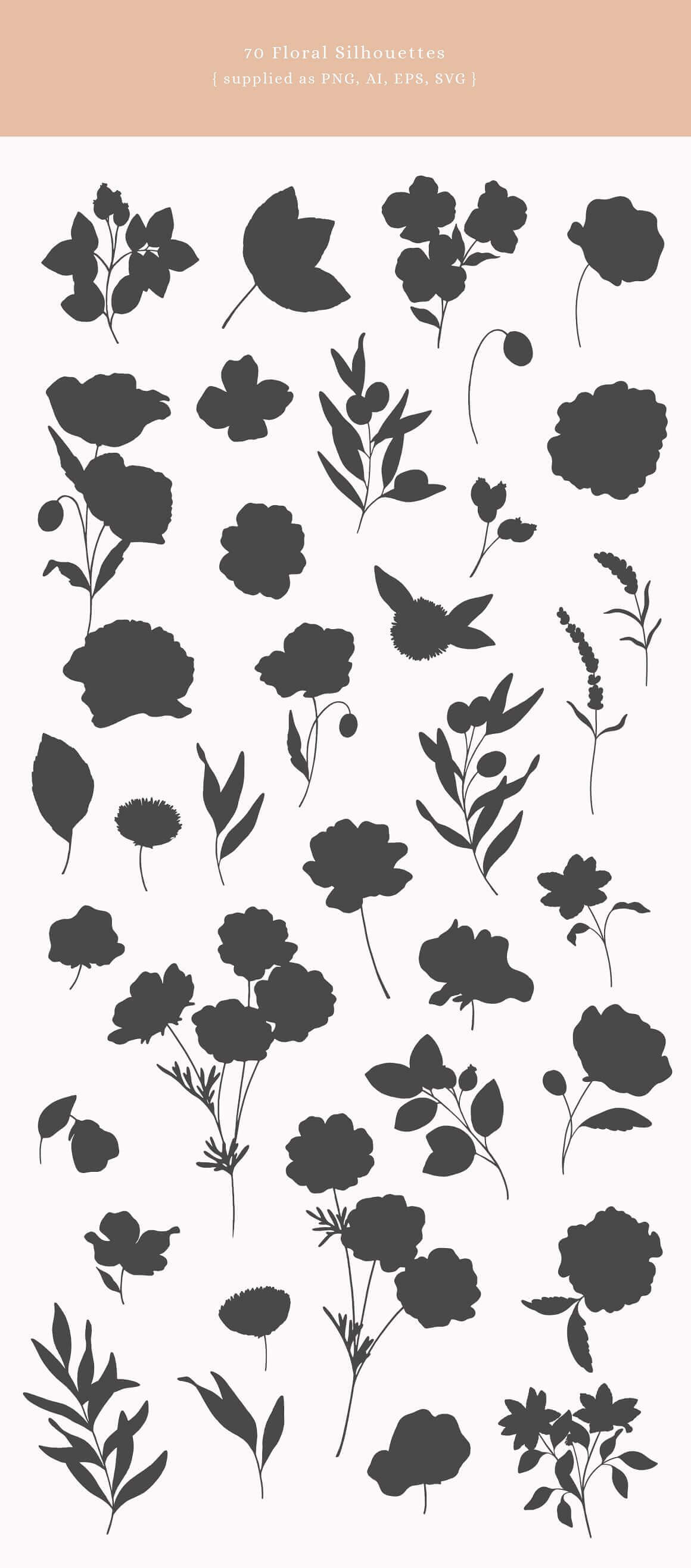 70 Floral Silhouettes supplied as PNG, AI, EPS, SVG.