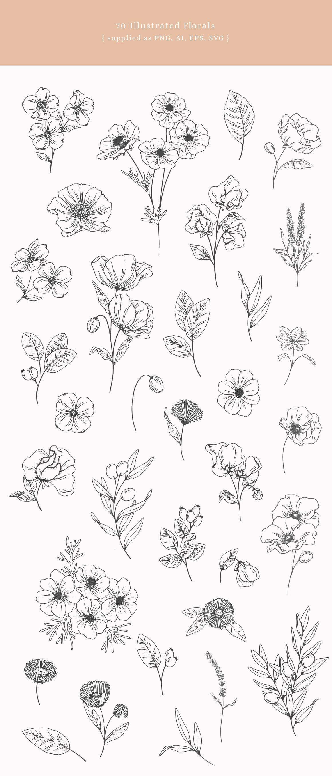 70 Illustrated Florals.