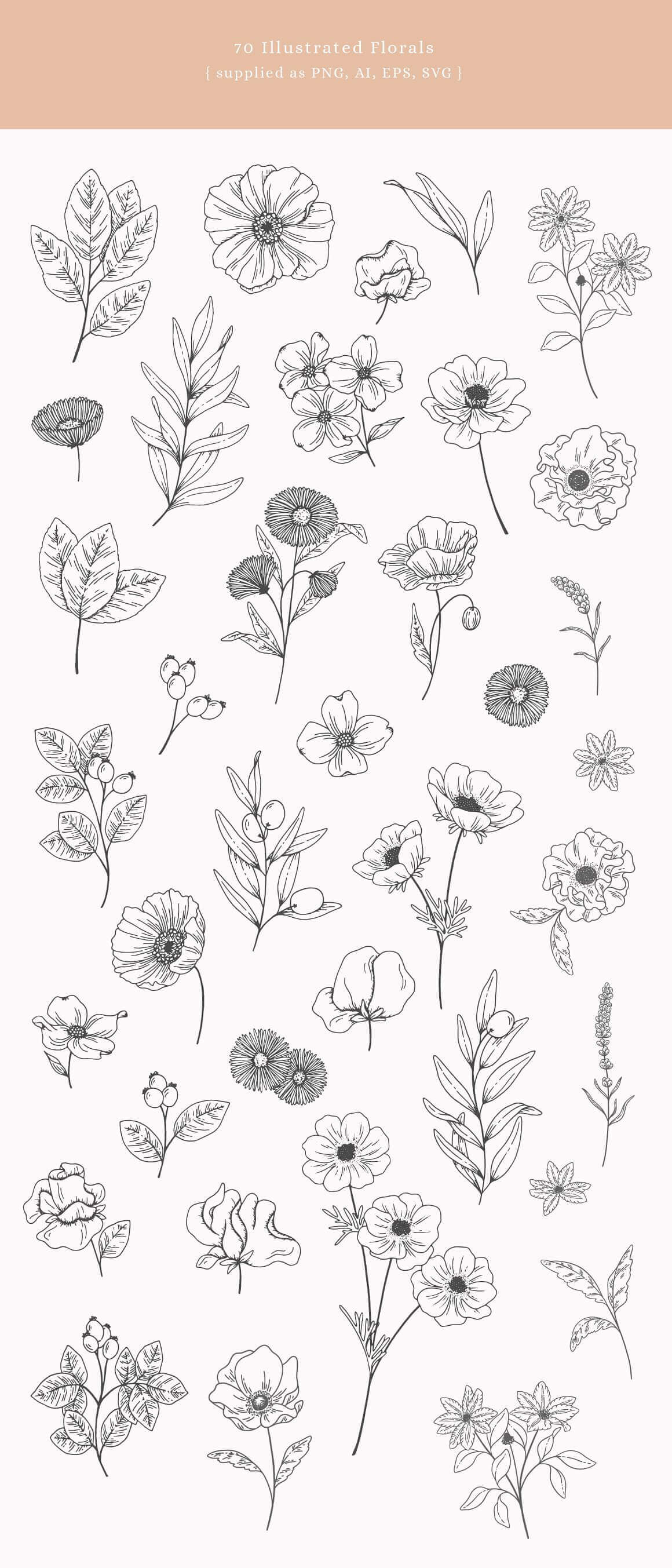 Florals Supplied as PNG, AI, EPS, SVG.