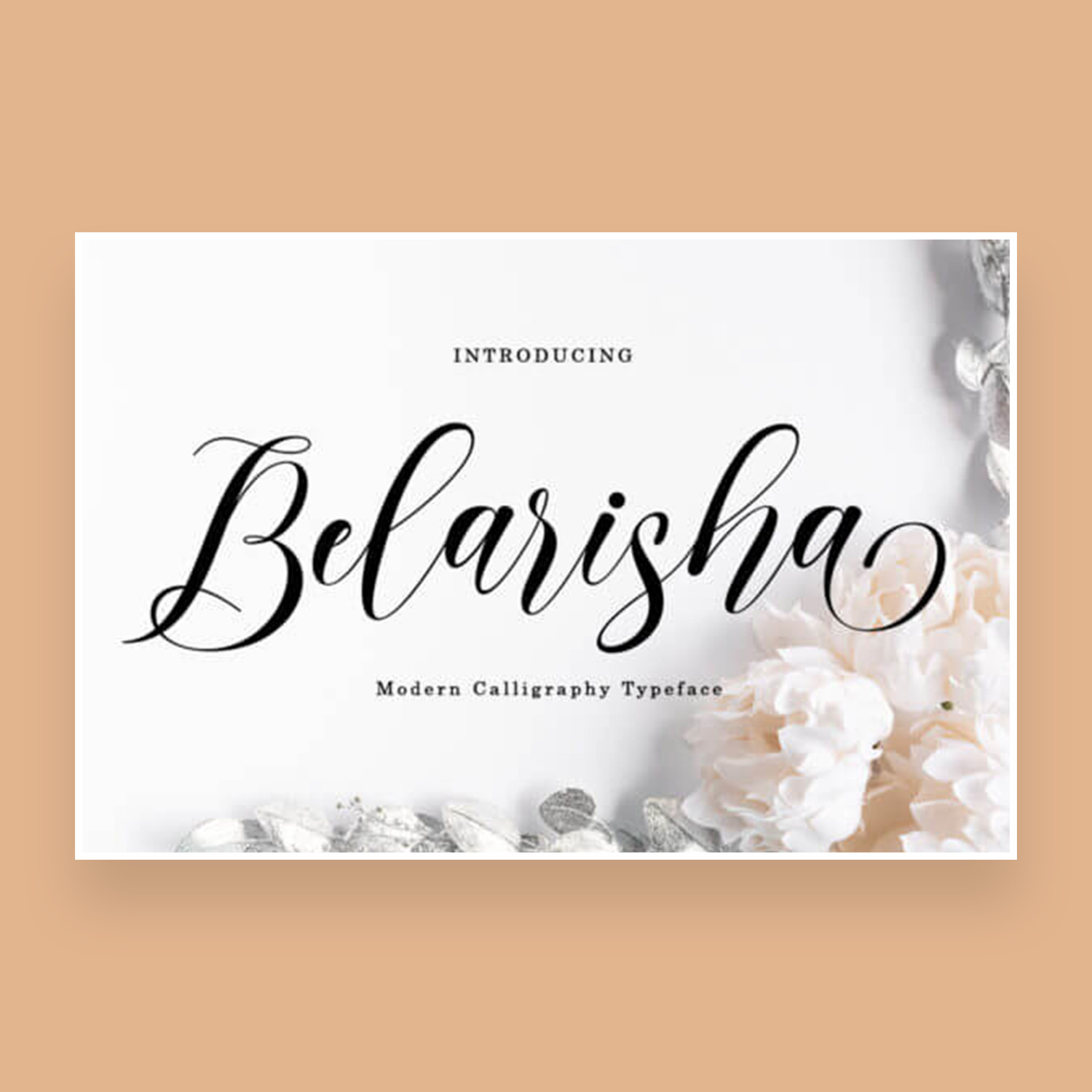 belarisha luxurious and elegant script font cover image.