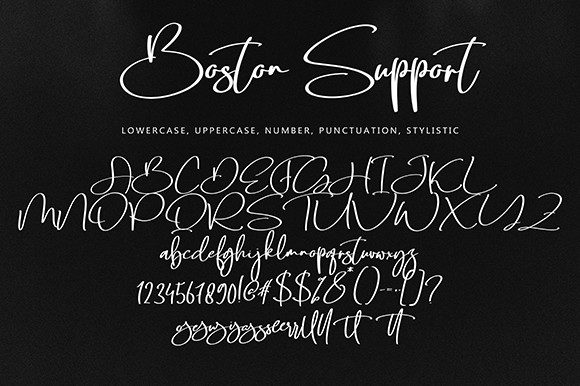 boston support delicate typeface.