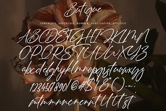butique font, letters, numbers, punktuation, stylistic.