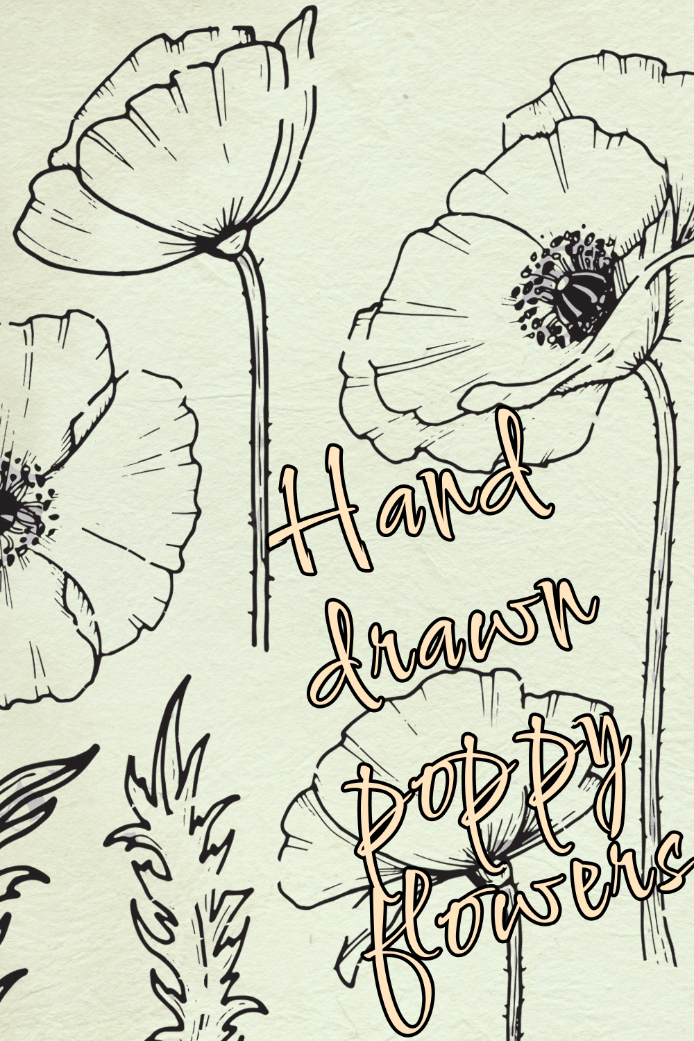 Interesting hand drawn poppy.
