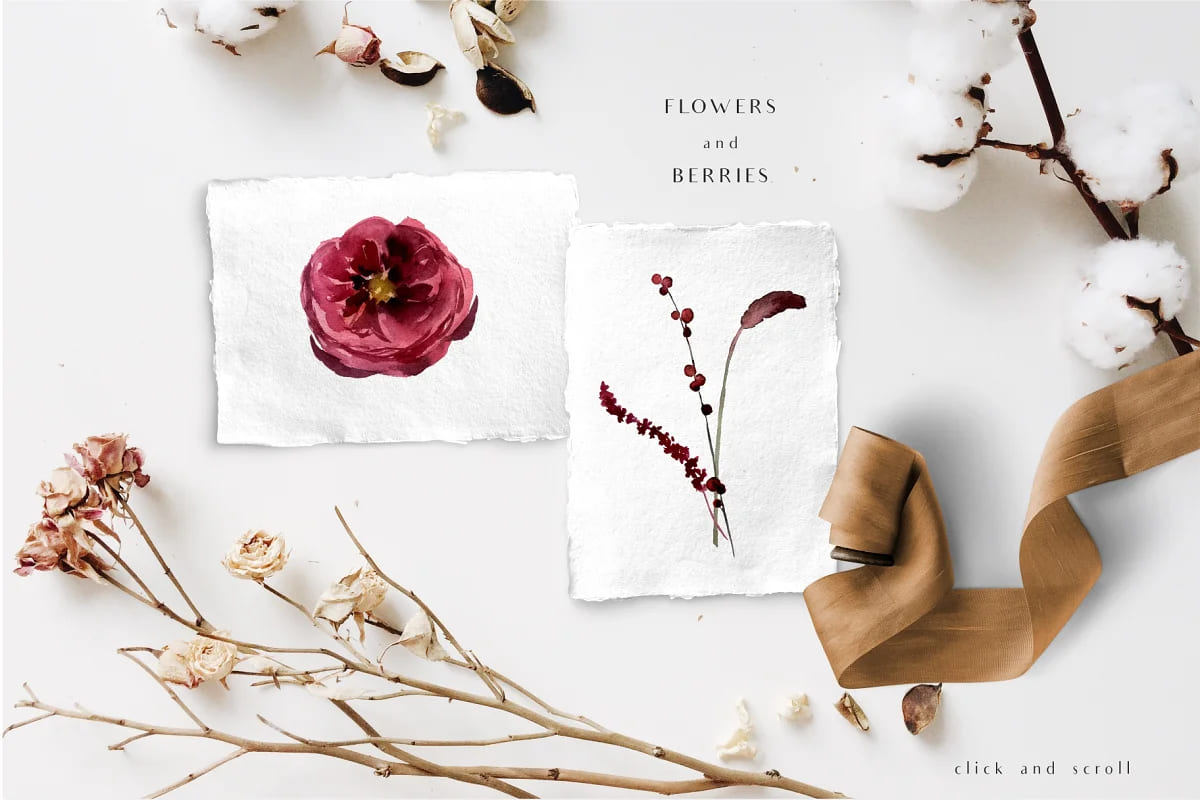 hello autumn watercolor collection, flowers and berries.