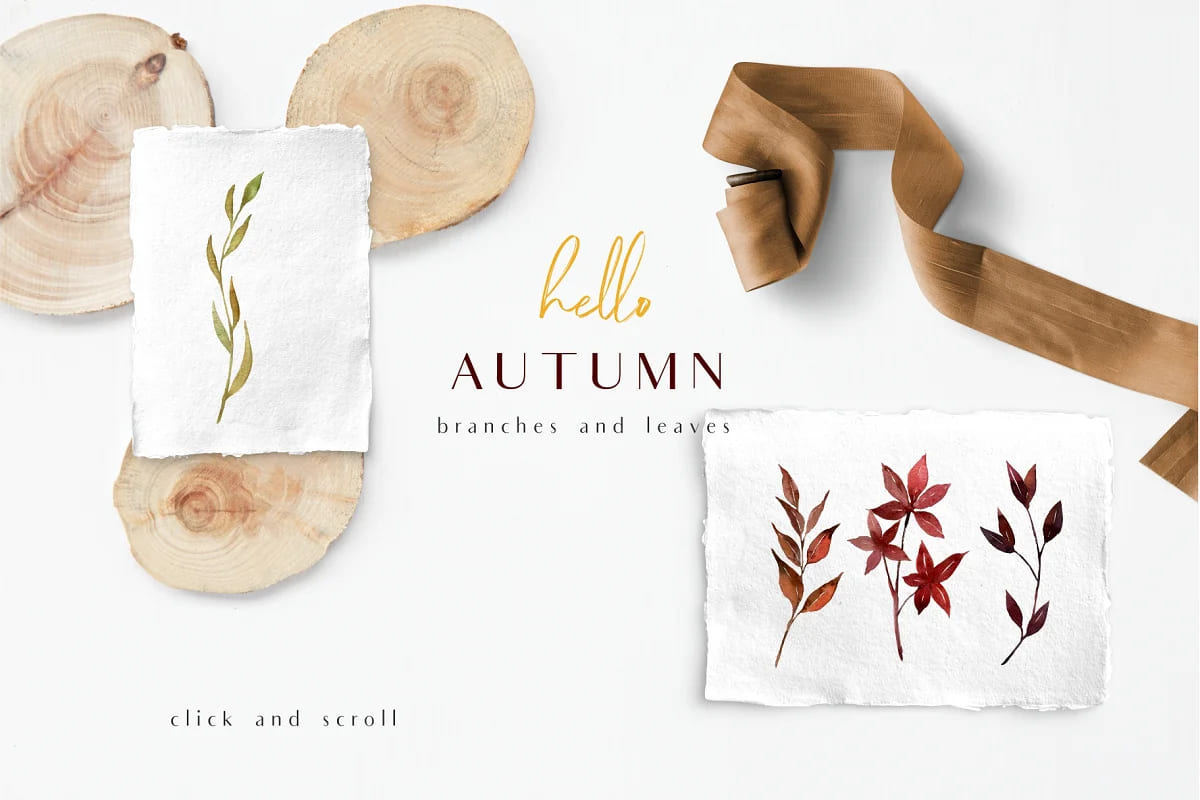 hello autumn watercolor collection, branches and leaves.