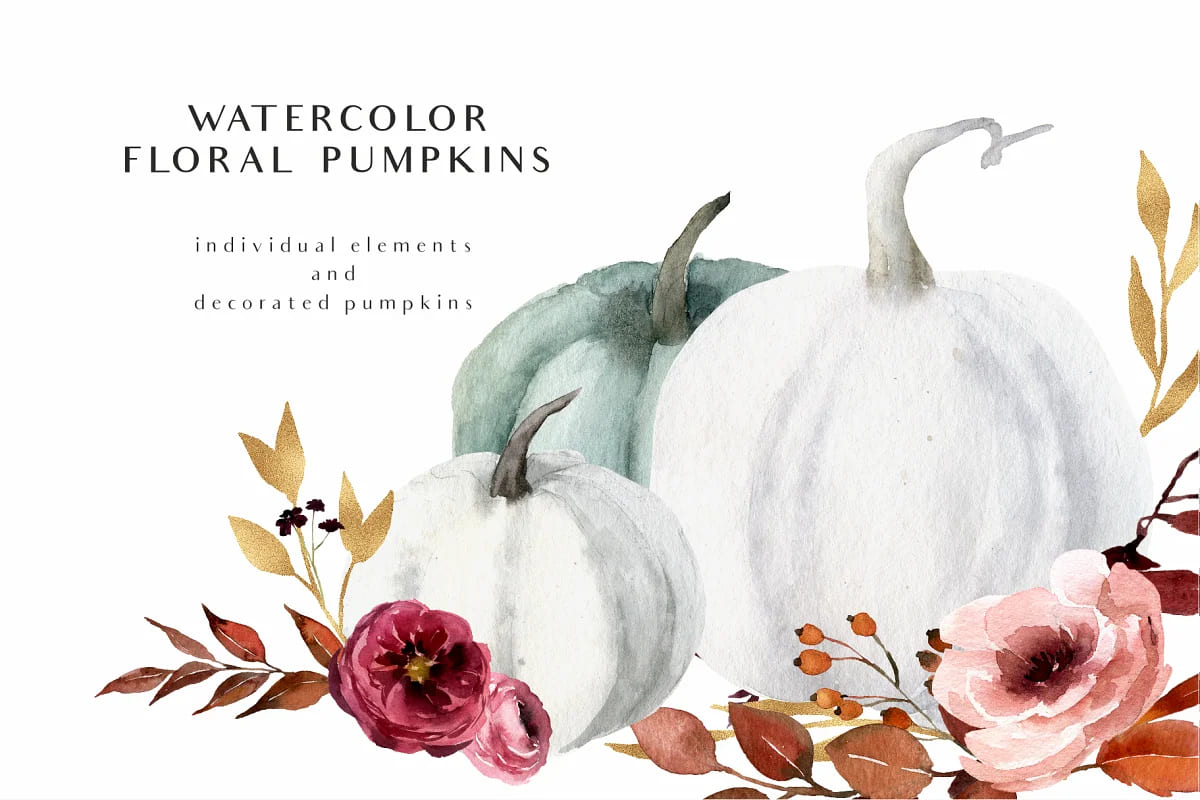 hello autumn watercolor collection, floral pumpkins.